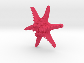 Horned Sea Star in Pink Processed Versatile Plastic