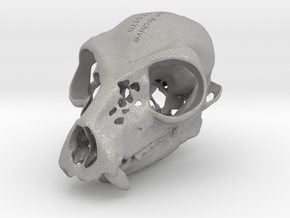 Lemur Skull in Aluminum