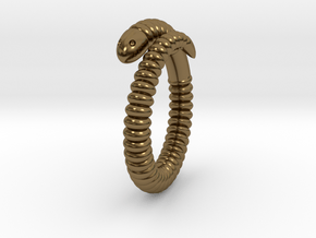 a. "Life of a worm" Part 1 - ring in Polished Bronze