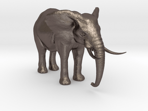 African Alpha Elephant in Polished Bronzed Silver Steel