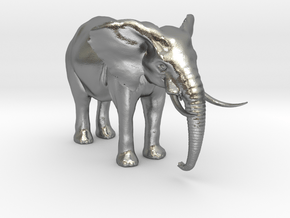African Alpha Elephant in Natural Silver