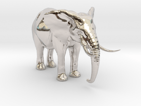 African Alpha Elephant in Rhodium Plated Brass