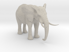 African Alpha Elephant in Natural Sandstone