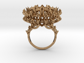 Ring The Thistle/ size 9 1/2 US (19.4 mm) in Polished Brass
