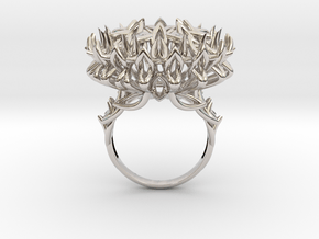 Ring The Thistle/ size 9 1/2 US (19.4 mm) in Rhodium Plated Brass