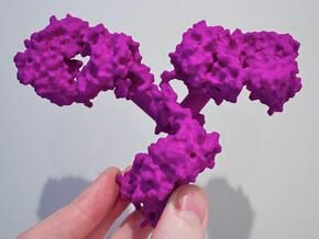 Antibody molecule in Purple Processed Versatile Plastic