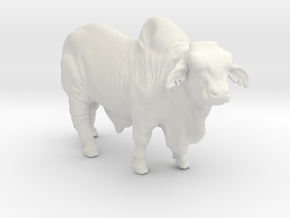 Brahma Bull in White Natural Versatile Plastic