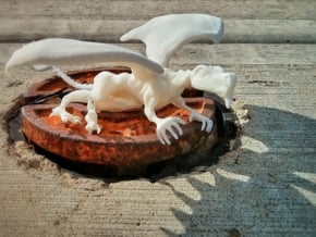 Pet Dragon in White Natural Versatile Plastic