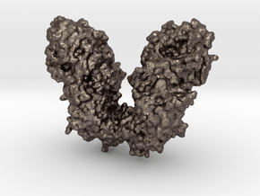 Diptheria Toxin in Polished Bronzed Silver Steel