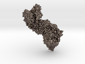 Pertussis Toxin in Polished Bronzed Silver Steel