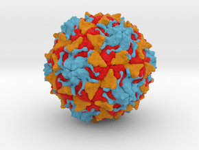 Polio Virus - Large in Full Color Sandstone