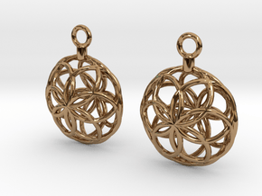 Rosette Earrings in Polished Brass