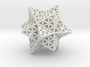 Stellated Flower of Life Vector Equilibrium 2.3" in White Natural Versatile Plastic
