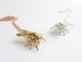 Drosophila Fruit Fly Pendant - Science Jewelry in Polished Bronze