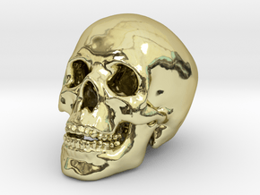 Human Skull - medium in 18k Gold Plated Brass