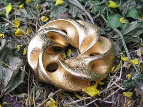 Seedpod of Tacañita  - mobius pendant /sculpture in Polished Gold Steel