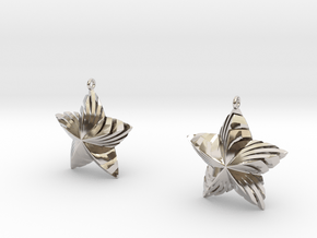 Tortuous Stars Earrings in Rhodium Plated Brass