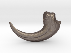 Velociraptor Claw in Polished Bronzed Silver Steel