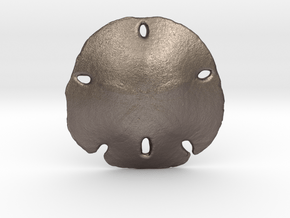 Sand Dollar in Polished Bronzed Silver Steel