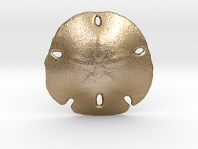 Sand Dollar in Polished Gold Steel