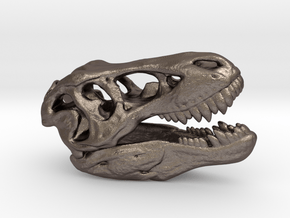 Tyrannosaurus Rex Skull 35mm in Polished Bronzed Silver Steel