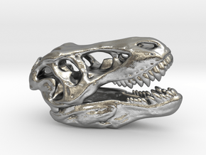 Tyrannosaurus Rex Skull 35mm in Natural Silver
