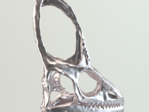 Veiled Chameleon  Skull Pendant in Natural Silver