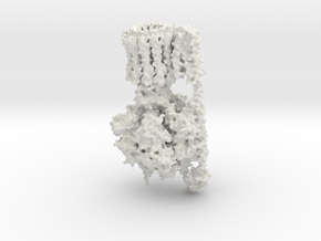 ATP Synthase in White Natural Versatile Plastic
