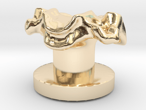 Anatomical Cervical Vertebra 4 Tuxedo Shirt Stud in 14k Gold Plated Brass