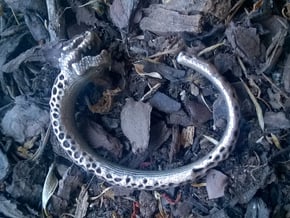 ToTem resurrection: Mue de serpent  in Polished Bronzed Silver Steel