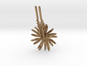 Daisy Bobby- Version 2 in Natural Brass