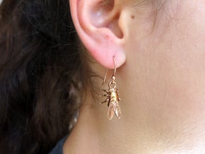 Drosophila Fruit Fly Earrings - Science Jewelry in Natural Bronze