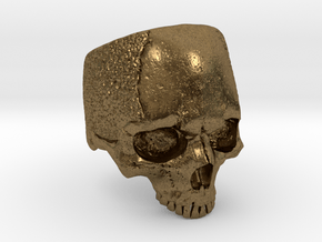 LabSkull in Natural Bronze