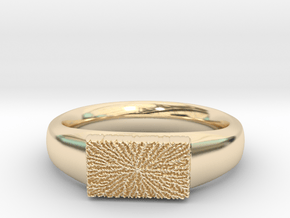 bague 2 in 14k Gold Plated Brass