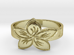 My Awesome Ring Design Ring Size 9.5 in 18k Gold Plated Brass