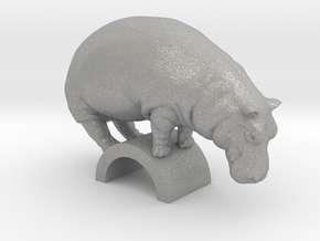 Hippo in Aluminum