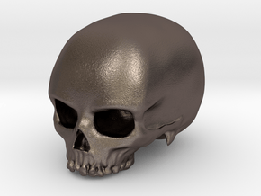 Skull in Polished Bronzed Silver Steel