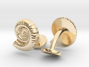 Ammonite Cufflinks in 14K Yellow Gold