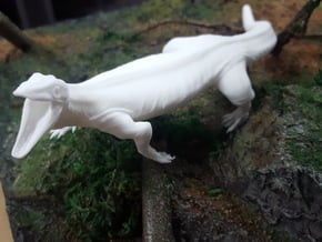 Asprosaurus (Medium / Large size) in White Natural Versatile Plastic: Medium