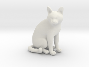 1/22 Chartreux Sitting in White Natural Versatile Plastic