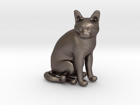 1/22 Chartreux Sitting in Polished Bronzed Silver Steel