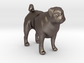 1/22 Pug Standing in Polished Bronzed Silver Steel