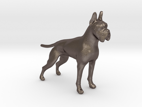 1/22 Boxer Standing in Polished Bronzed Silver Steel