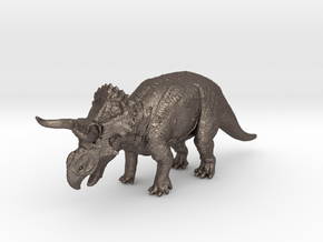 Nasutoceratops middle size (color) in Polished Bronzed Silver Steel