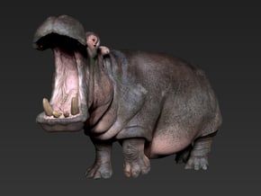 Hippo mini size (color) in Glossy Full Color Sandstone