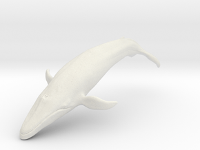 Blue Whale middle size (color) in White Natural Versatile Plastic