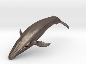 Blue Whale middle size (color) in Polished Bronzed Silver Steel