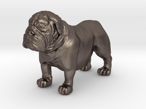 Bull Dog mini size (color) in Polished Bronzed Silver Steel