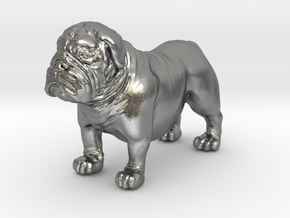 Bull Dog mini size (color) in Natural Silver