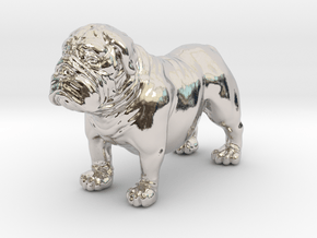 Bull Dog mini size (color) in Platinum